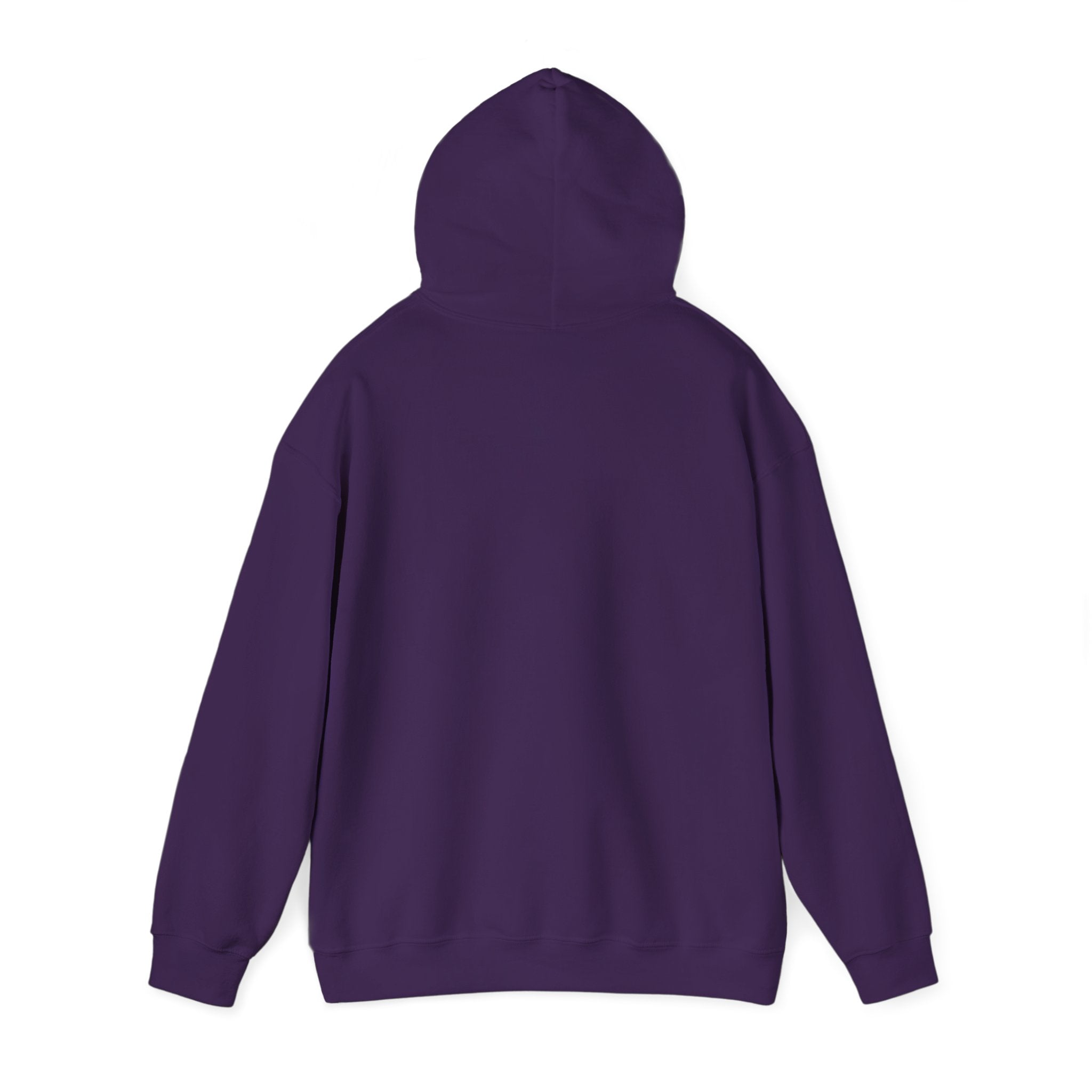 Alien Encounter Hoodie — Sci‑Fi Astronaut & Purple Alien Graphic Sweatshirt