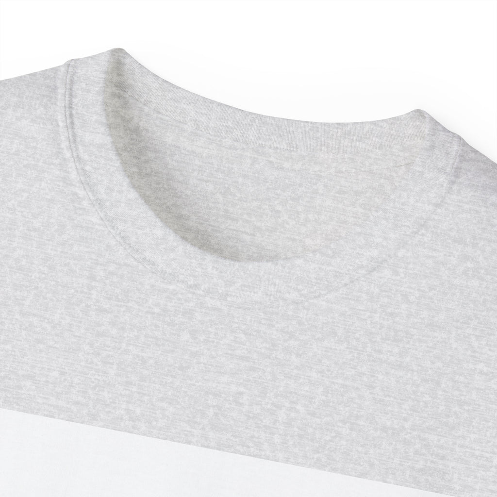 UFO T-Shirt – "I Saw a UFO" Alien Abduction Graphic Tee Adult Unisex