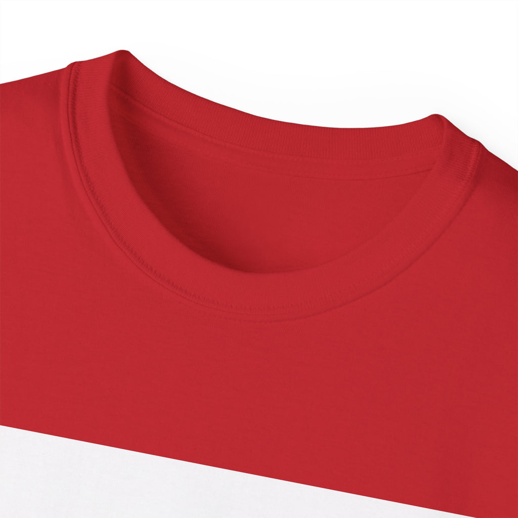 Roswell Alien Conspiracy Tee — Vintage UFO Graphic T-Shirt