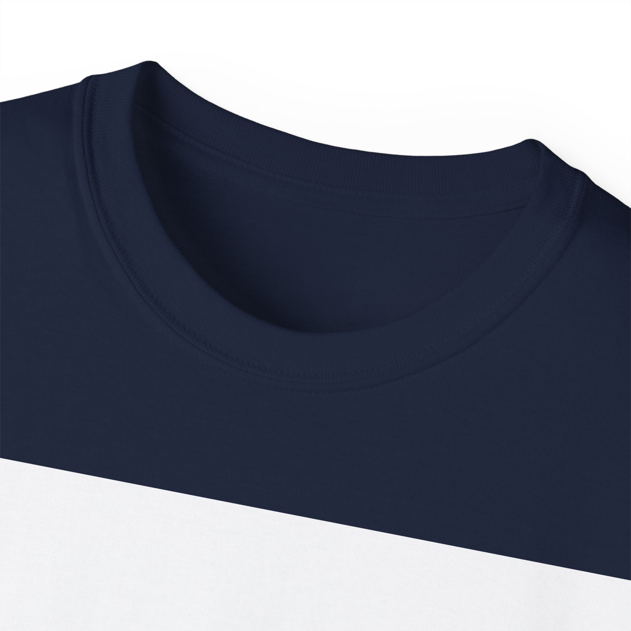 Alien Abduction T-Shirt — UFO Beam Silhouette Tee